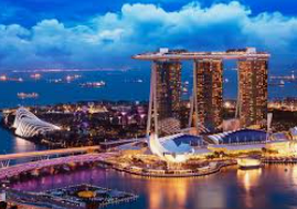 旺财28APP手机版